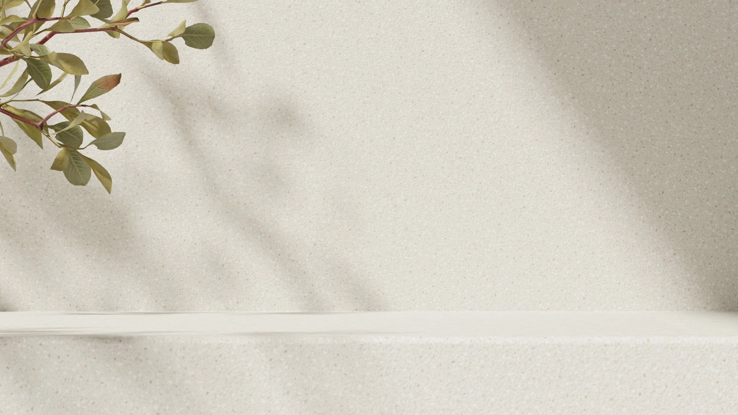 Minimal natural beauty display with soft neutral styling